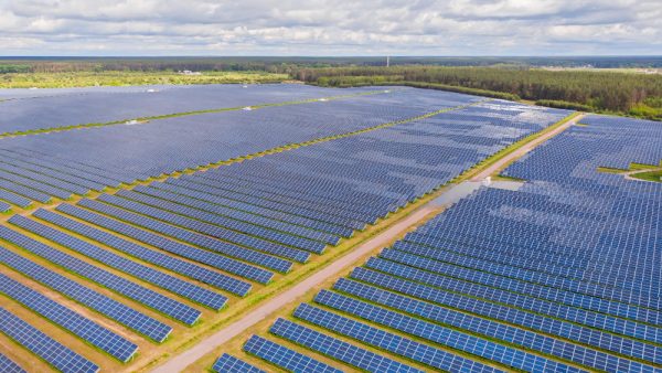 40